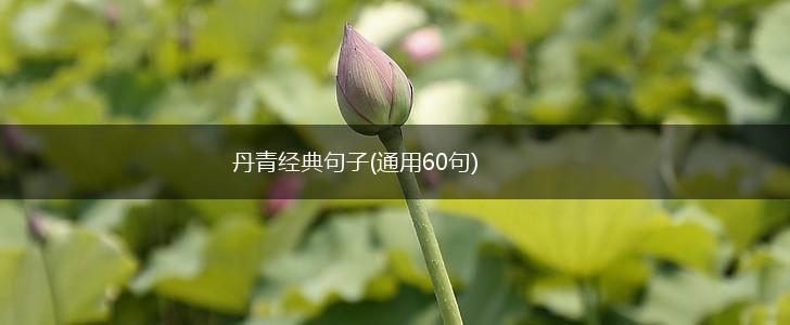 丹青经典句子(通用60句),第1张