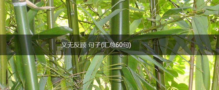 义无反顾 句子(汇总60句),第1张