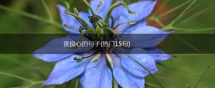 丧良心的句子(热门15句),第1张