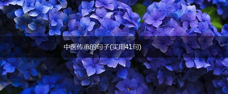 中医传承的句子(实用41句),第1张