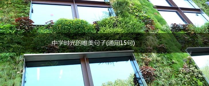 中学时光的唯美句子(通用15句),第1张
