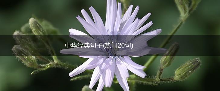 中华经典句子(热门20句),第1张
