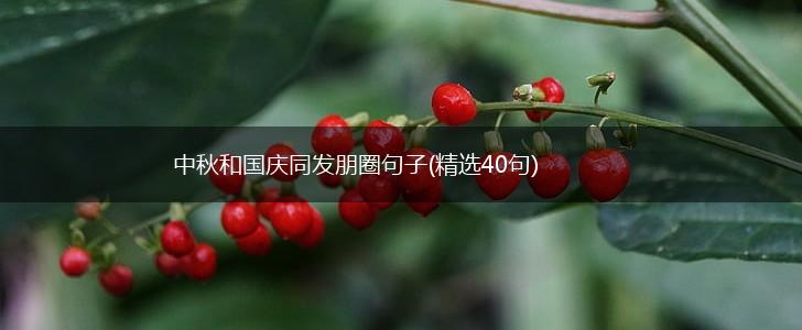 中秋和国庆同发朋圈句子(精选40句),第1张