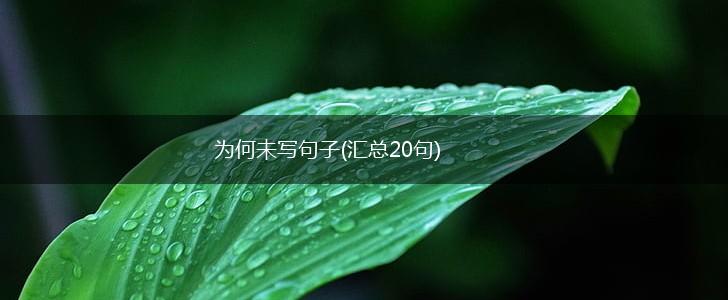 为何未写句子(汇总20句),第1张