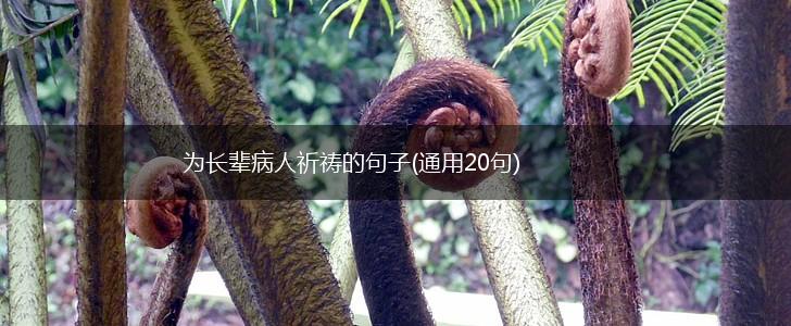 为长辈病人祈祷的句子(通用20句),第1张