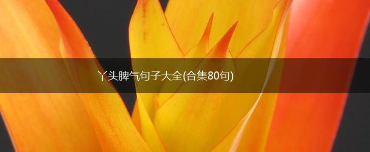 丫头脾气句子大全(合集80句),第1张
