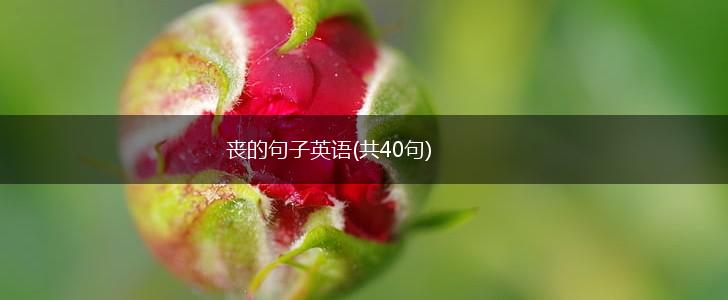 丧的句子英语(共40句),第1张