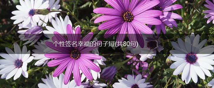 个性签名幸福的句子短(共80句),第1张
