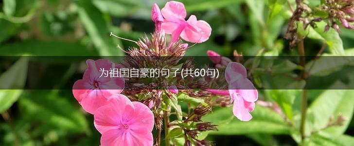 为祖国自豪的句子(共60句),第1张
