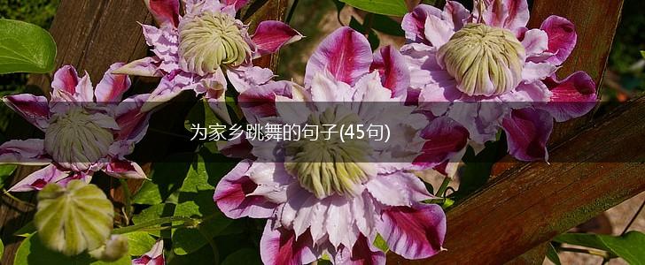 为家乡跳舞的句子(45句),第1张