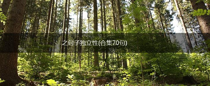 之句子独立性(合集70句),第1张