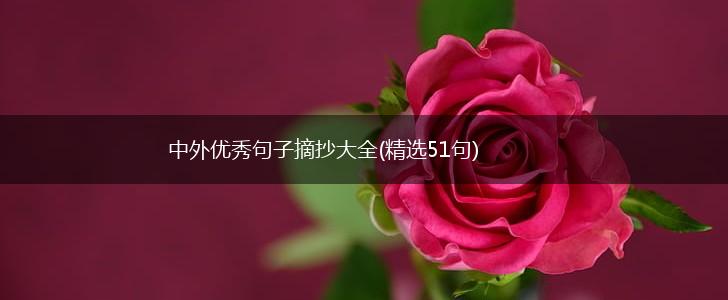 中外优秀句子摘抄大全(精选51句),第1张