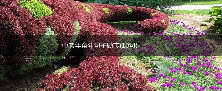 中老年奋斗句子励志(10句),第1张