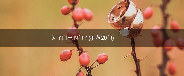 为了自己的句子(推荐20句),第1张