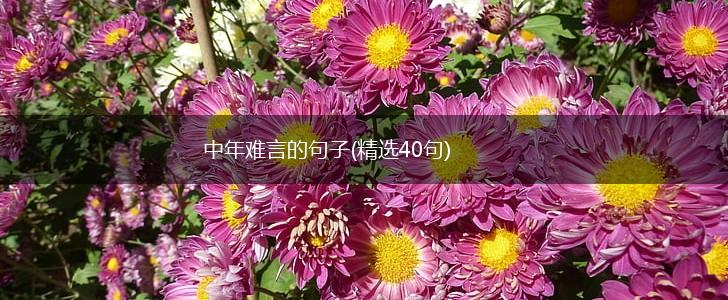 中年难言的句子(精选40句),第1张