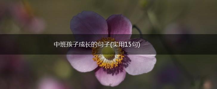 中班孩子成长的句子(实用15句),第1张