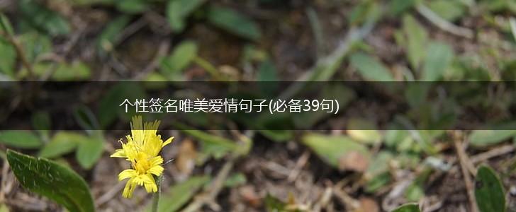 个性签名唯美爱情句子(必备39句),第1张
