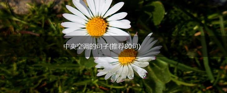 中央空调的句子(推荐80句),第1张