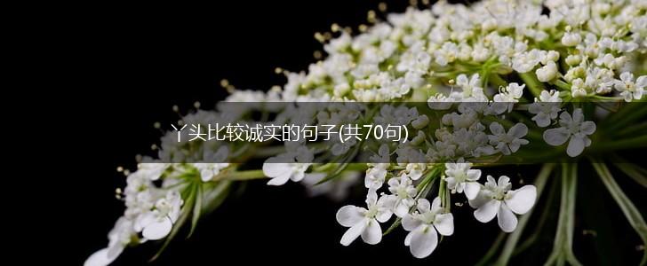 丫头比较诚实的句子(共70句),第1张