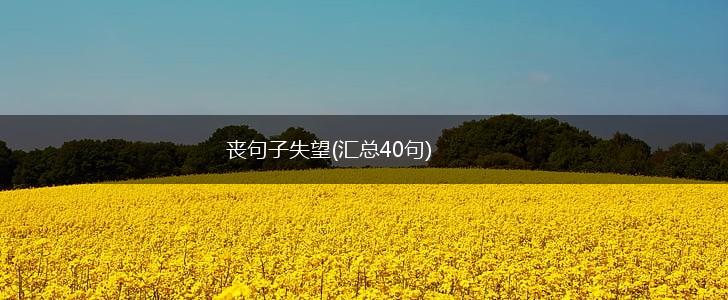 丧句子失望(汇总40句),第1张