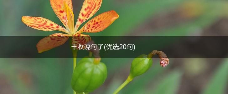 丰收说句子(优选20句),第1张