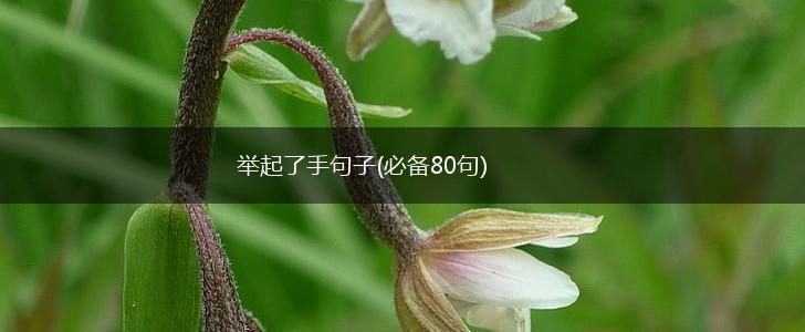 举起了手句子(必备80句),第1张