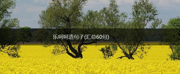 乐呵呵造句子(汇总60句),第1张
