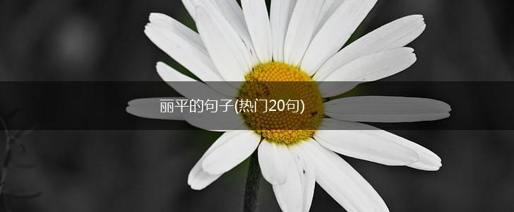 丽平的句子(热门20句),第1张