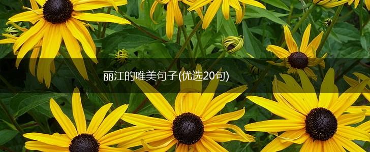 丽江的唯美句子(优选20句),第1张