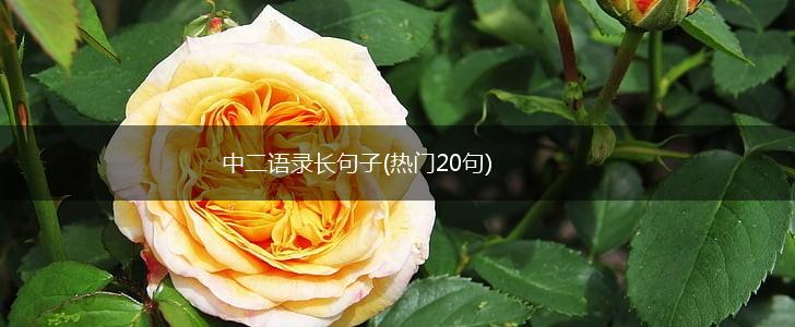 中二语录长句子(热门20句),第1张