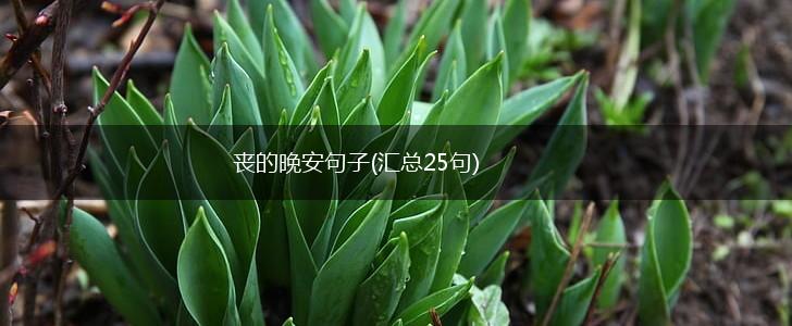 丧的晚安句子(汇总25句),第1张
