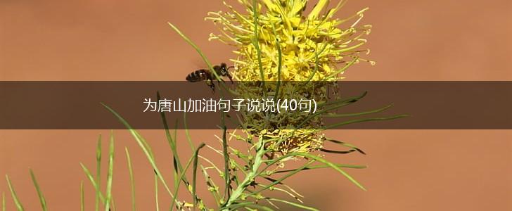 为唐山加油句子说说(40句),第1张