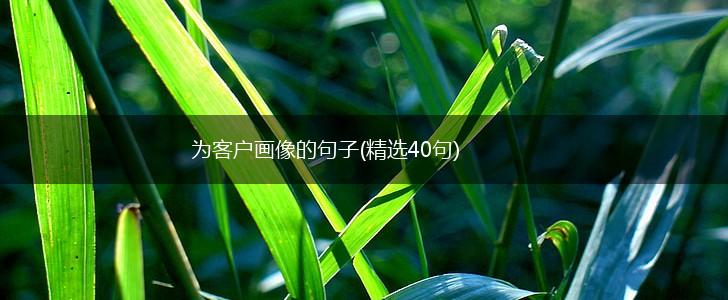 为客户画像的句子(精选40句),第1张