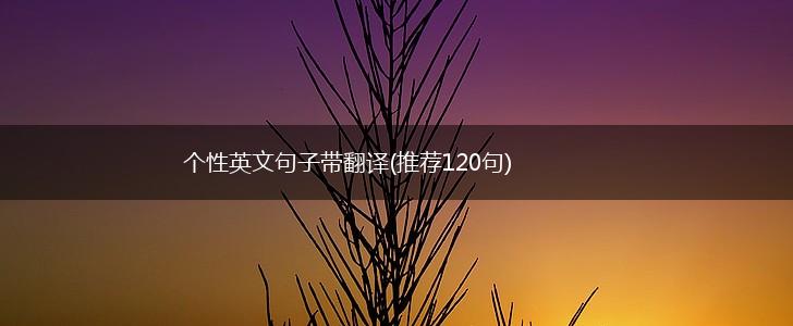 个性英文句子带翻译(推荐120句),第1张