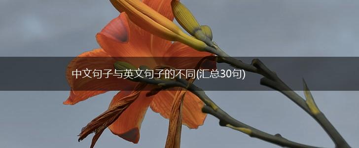中文句子与英文句子的不同(汇总30句),第1张