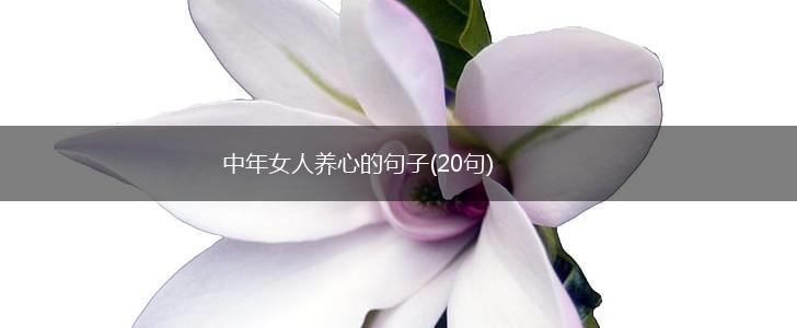 中年女人养心的句子(20句),第1张