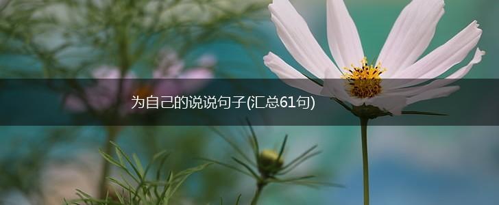 为自己的说说句子(汇总61句),第1张