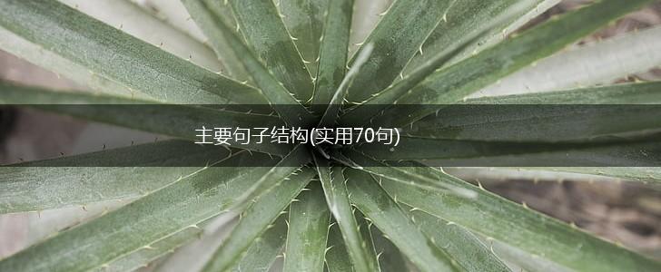 主要句子结构(实用70句),第1张