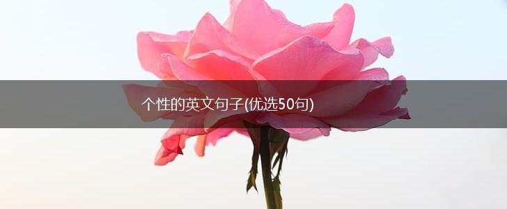 个性的英文句子(优选50句),第1张