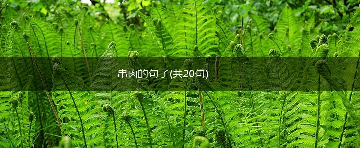 串肉的句子(共20句),第1张
