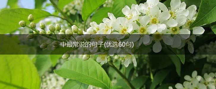 中最常说的句子(优选60句),第1张