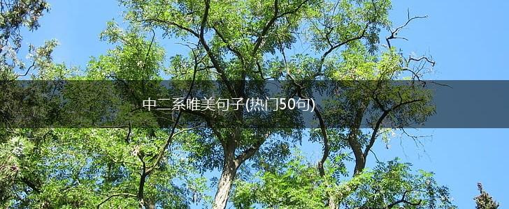 中二系唯美句子(热门50句),第1张
