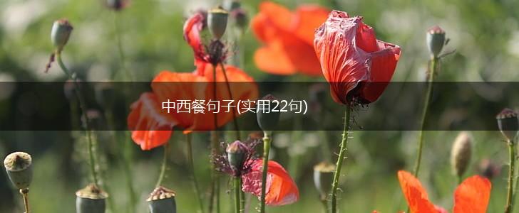 中西餐句子(实用22句),第1张