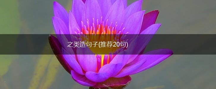 之类造句子(推荐20句),第1张