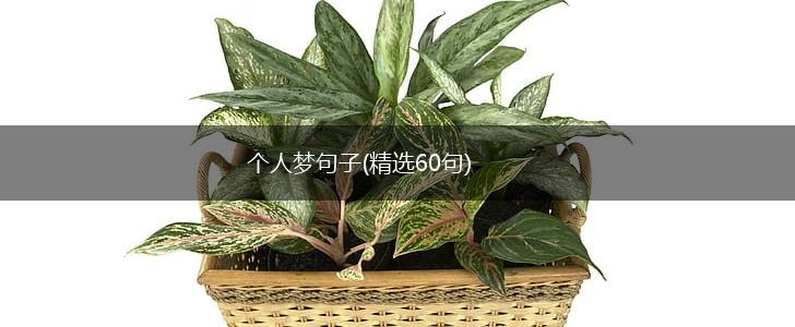 个人梦句子(精选60句),第1张