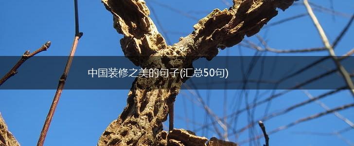 中国装修之美的句子(汇总50句),第1张