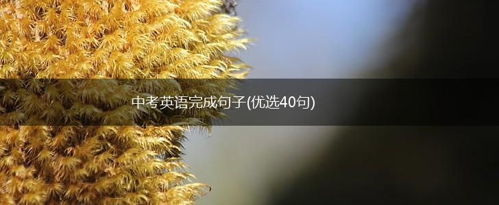 中考英语完成句子(优选40句),第1张
