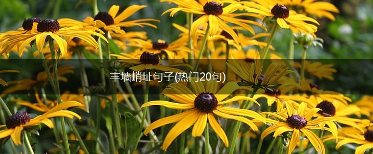 丰墙峭址句子(热门20句),第1张