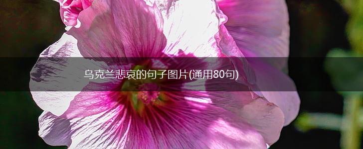 乌克兰悲哀的句子图片(通用80句),第1张