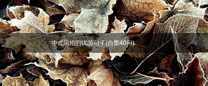 中式风格的优美句子(合集40句),第1张